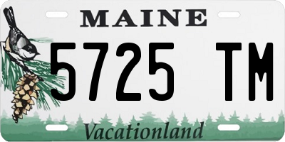 ME license plate 5725TM