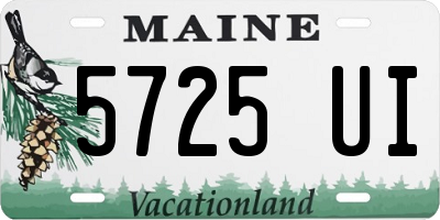 ME license plate 5725UI