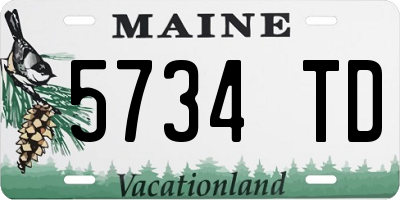 ME license plate 5734TD