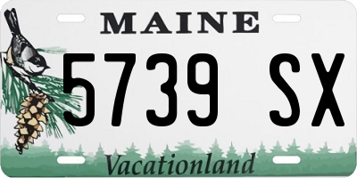 ME license plate 5739SX