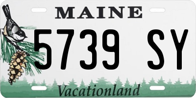 ME license plate 5739SY