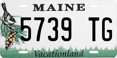 ME license plate 5739TG