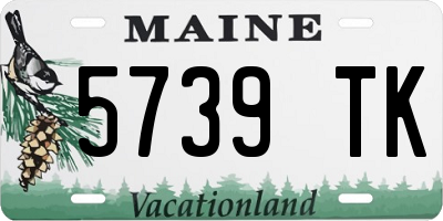 ME license plate 5739TK