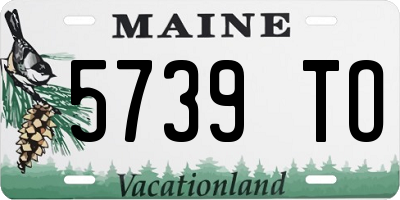 ME license plate 5739TO
