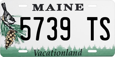 ME license plate 5739TS