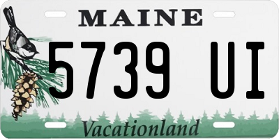 ME license plate 5739UI