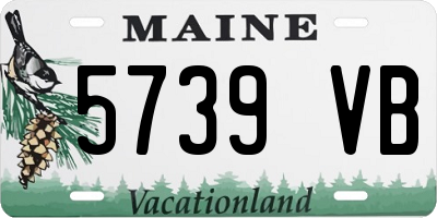 ME license plate 5739VB
