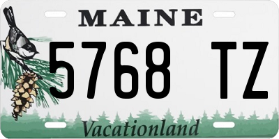 ME license plate 5768TZ