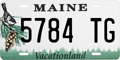 ME license plate 5784TG