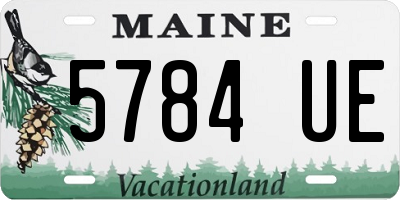 ME license plate 5784UE