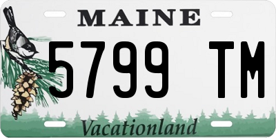 ME license plate 5799TM