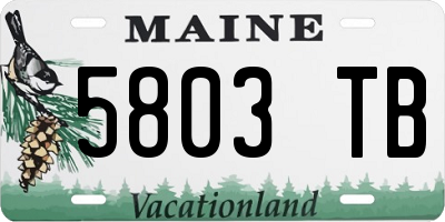 ME license plate 5803TB