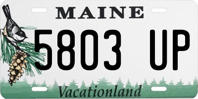 ME license plate 5803UP