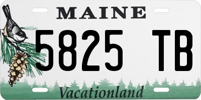 ME license plate 5825TB