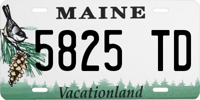 ME license plate 5825TD