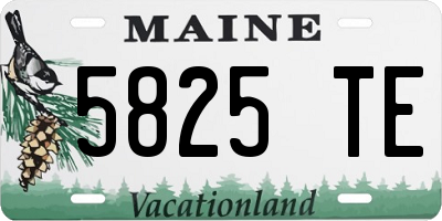 ME license plate 5825TE