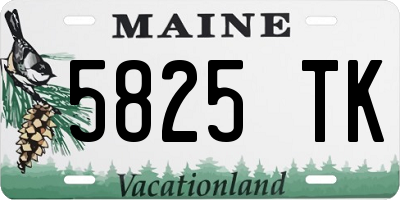 ME license plate 5825TK