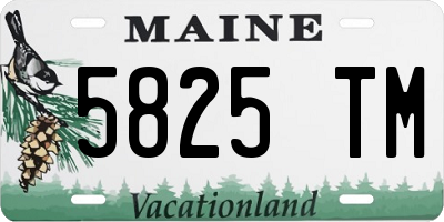 ME license plate 5825TM