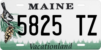 ME license plate 5825TZ