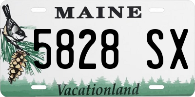 ME license plate 5828SX