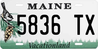 ME license plate 5836TX