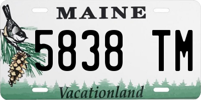 ME license plate 5838TM