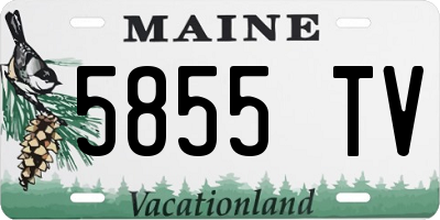 ME license plate 5855TV