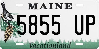 ME license plate 5855UP