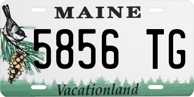 ME license plate 5856TG
