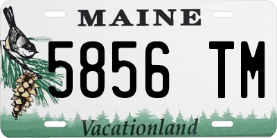ME license plate 5856TM