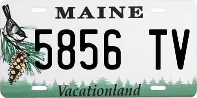 ME license plate 5856TV
