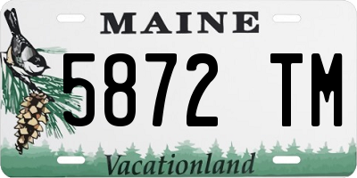 ME license plate 5872TM