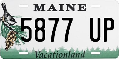 ME license plate 5877UP
