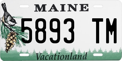 ME license plate 5893TM
