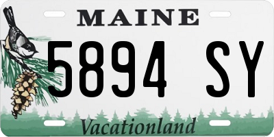 ME license plate 5894SY