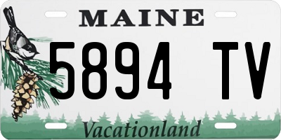 ME license plate 5894TV