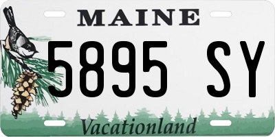 ME license plate 5895SY