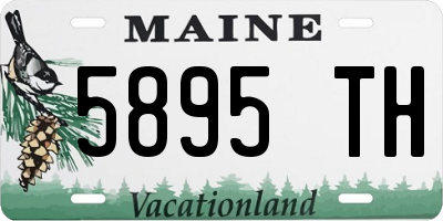 ME license plate 5895TH