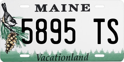 ME license plate 5895TS