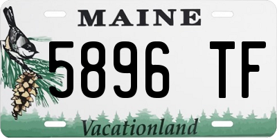 ME license plate 5896TF