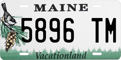ME license plate 5896TM