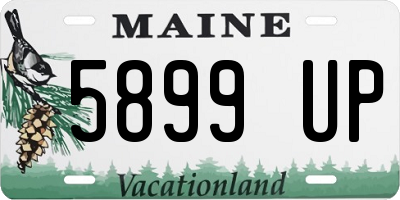 ME license plate 5899UP