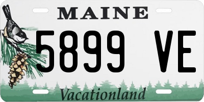 ME license plate 5899VE