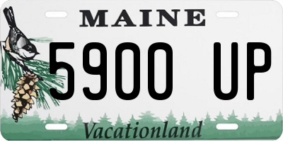 ME license plate 5900UP