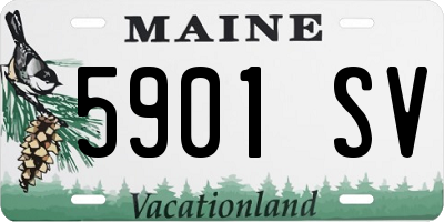 ME license plate 5901SV