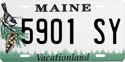 ME license plate 5901SY