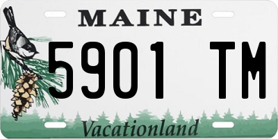 ME license plate 5901TM