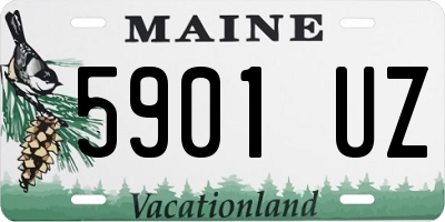 ME license plate 5901UZ