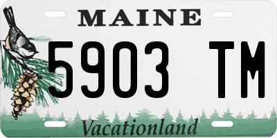 ME license plate 5903TM