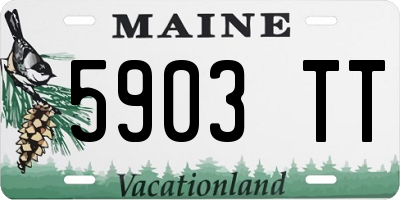 ME license plate 5903TT